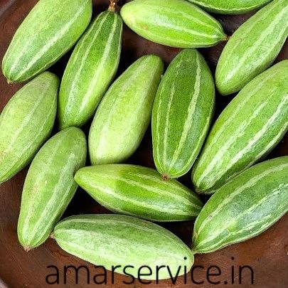 Pointed Gourd