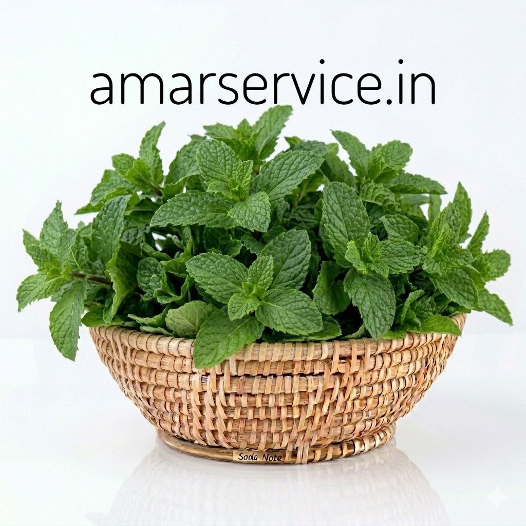 Mint Leaves (Pudina Pata)