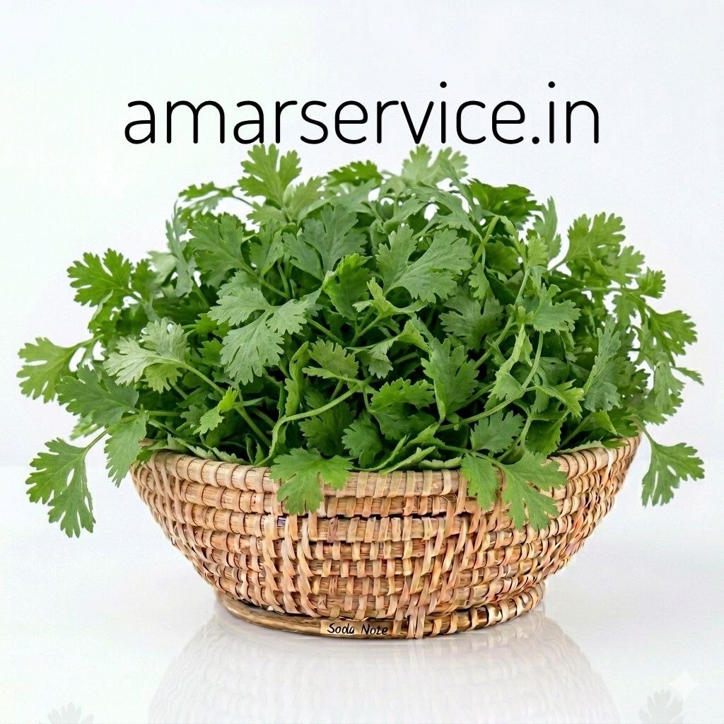 Coriander Bunch (Dhaniya patti)